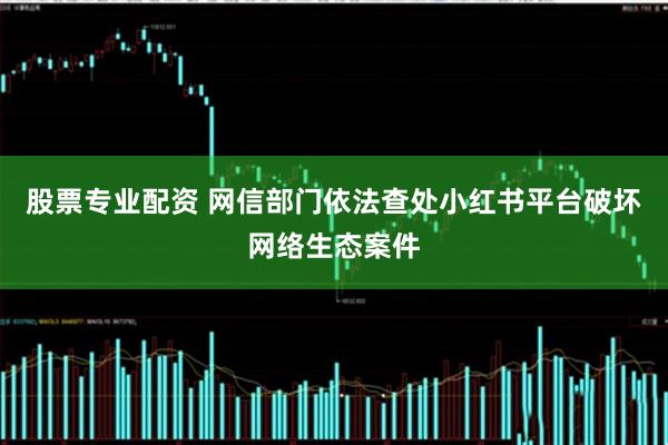 股票专业配资 网信部门依法查处小红书平台破坏网络生态案件